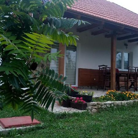 Nektar Park Villa Sara บีฮัช ภายนอก รูปภาพ
