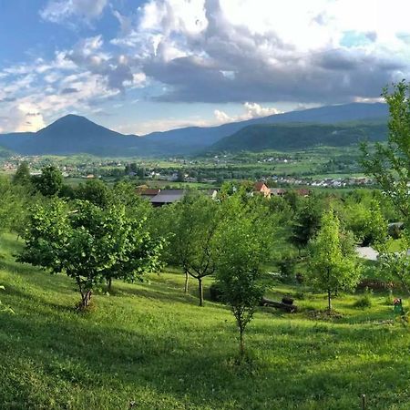 Nektar Park Villa Sara บีฮัช ภายนอก รูปภาพ