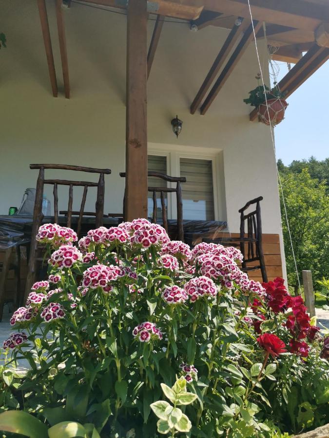 Nektar Park Villa Sara บีฮัช ภายนอก รูปภาพ