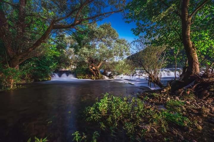 Nektar Park Villa Sara บีฮัช ภายนอก รูปภาพ